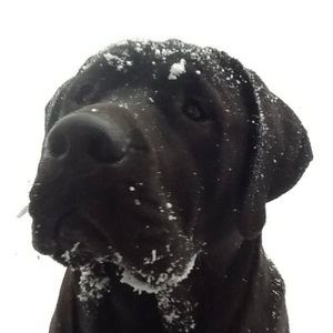 Meet your Posher, Laura-bill